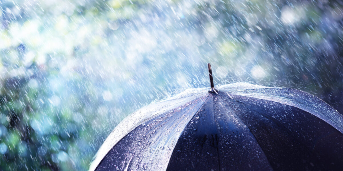 Primer plano de un paraguas negro con gotas de lluvia sobre un fondo borroso de follaje verde. La brillante luz del sol se filtra a través de la lluvia, creando un efecto brillante en las gotas de agua.