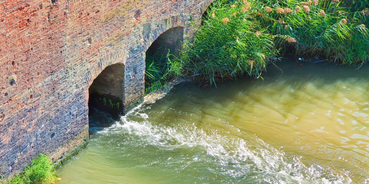 Un muro de ladrillo con dos aberturas arqueadas vierte agua a un río. El agua fluye formando ondas visibles. Plantas y hierbas verdes crecen a lo largo de la orilla junto al muro. La escena está brillantemente iluminada, lo que sugiere un día soleado.
