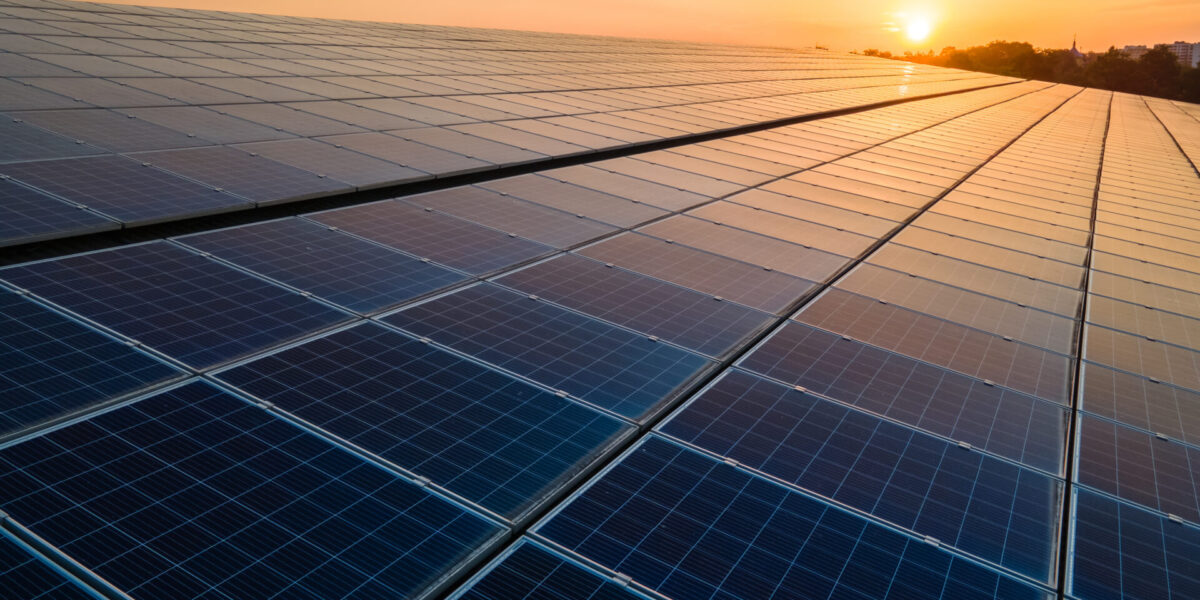 Paneles solares que se extienden por un extenso campo, captando la luz solar al atardecer. La escena se tiñe de cálidos tonos dorados, que resaltan las superficies reflectantes de los paneles y la suave pendiente del cielo vespertino.