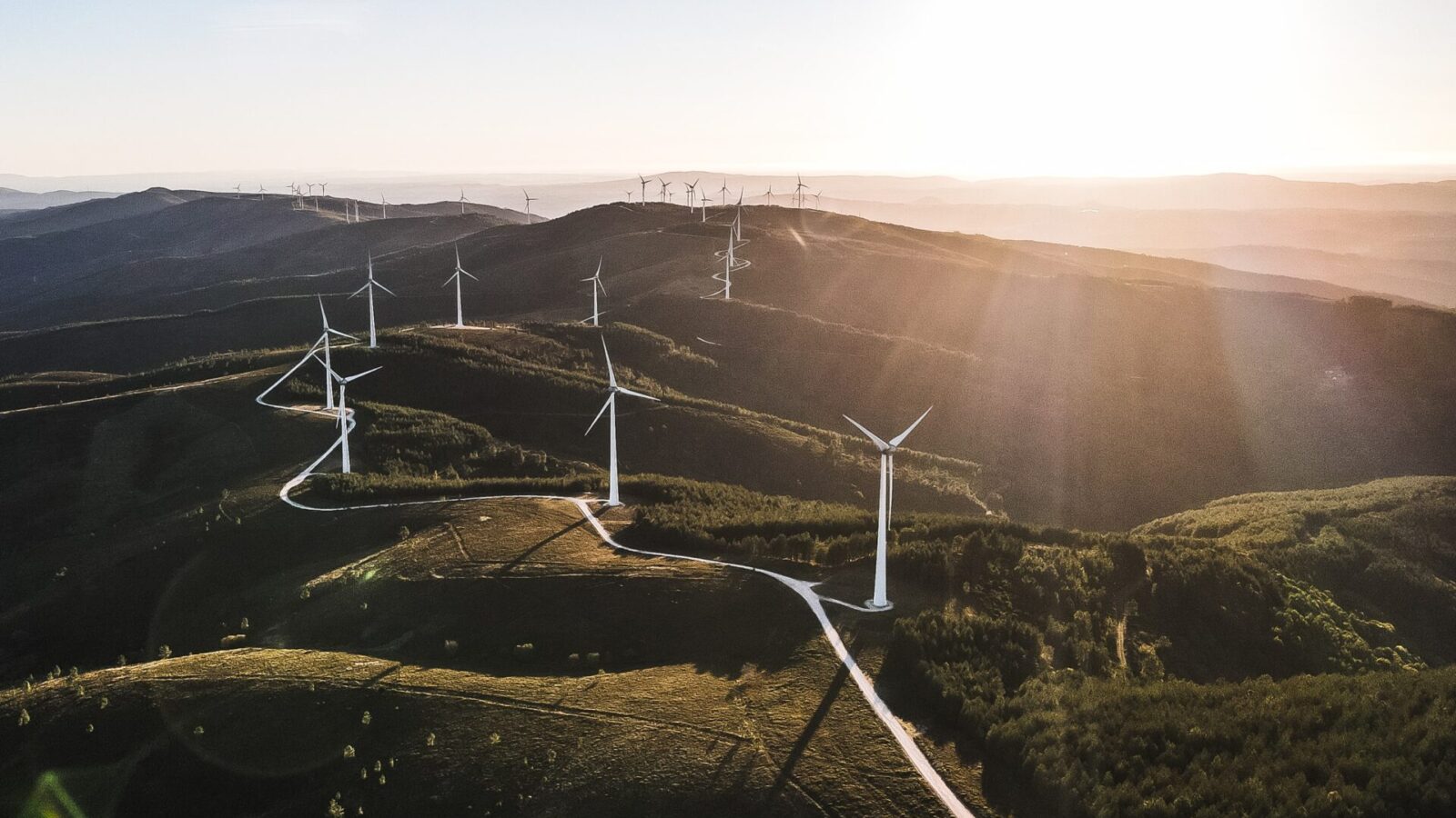 Vista aérea de un paisaje montañoso con carreteras sinuosas y numerosos aerogeneradores dispersos por las colinas. El sol se pone, proyectando una cálida luz sobre el paisaje y creando largas sombras sobre la exuberante vegetación.