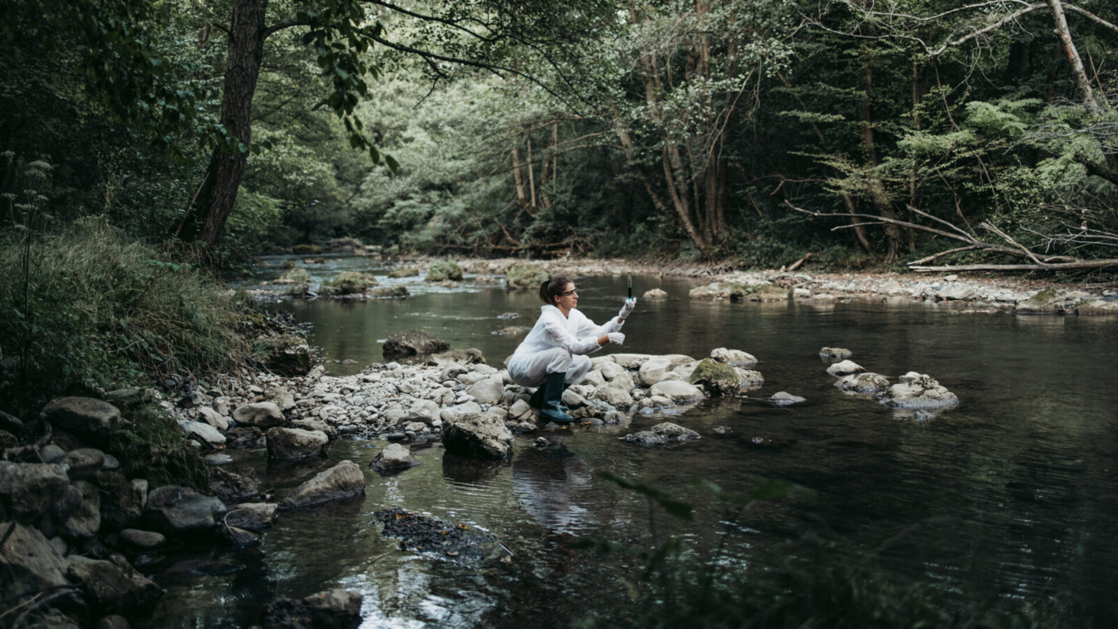 Una persona sentada en una roca junto a un tranquilo arroyo en un frondoso bosque verde. Lleva una chaqueta ligera y botas de goma, mirando pensativo un portapapeles. El paisaje es sereno, con árboles y follaje reflejados en el agua.