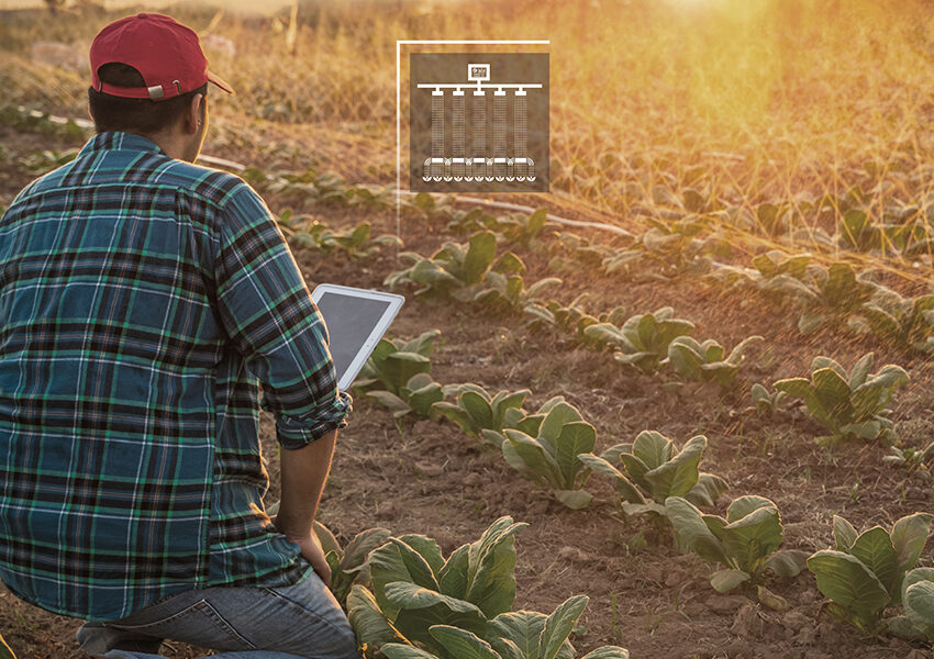 Un agricultor con gorra roja y camisa a cuadros se arrodilla sobre la tierra en un campo de plantones, sosteniendo una tableta. El amanecer proyecta un cálido resplandor. Un icono digital que representa el riego se superpone en el cielo.