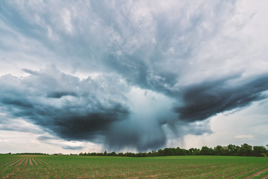 Un vasto campo se extiende bajo un cielo dramático, repleto de densas y oscuras nubes. Una intensa lluvia cae del centro de las nubes tormentosas, creando un marcado contraste con el exuberante paisaje verde que se extiende a sus pies. A lo lejos, los árboles se alinean en el horizonte.