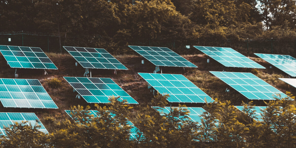 Hileras de paneles solares están instaladas en una ladera verde, rodeadas de densos árboles. Los paneles están inclinados hacia el sol, captando la energía solar. La escena evoca la energía renovable en un entorno natural.